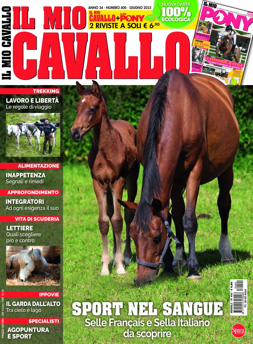 Il Mio Cavallo N Sprea Editori