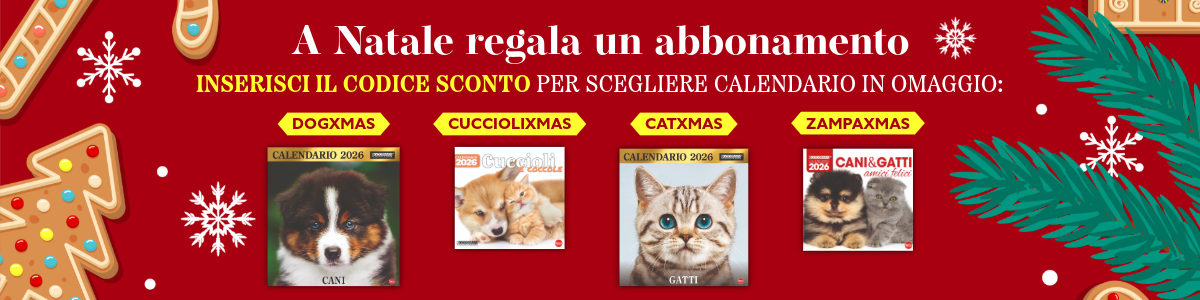 BANNER-natale-2026-5.png