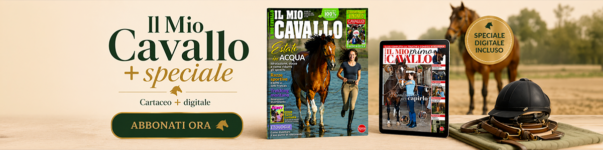 cavallo.png