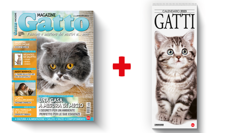 Copertina rivista Gatto Magazine e il calendario dei Gatti