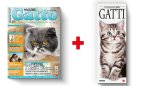 Copertina Gatto Magazine e il calendario dei Gatti