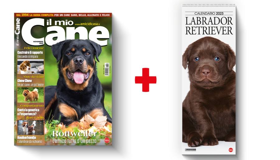 Copertina rivista Il Mio Cane e il calendario dei Labrador Retriever