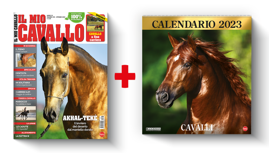 Copertina rivista Il mio Cavallo e il calendario dei Cavalli