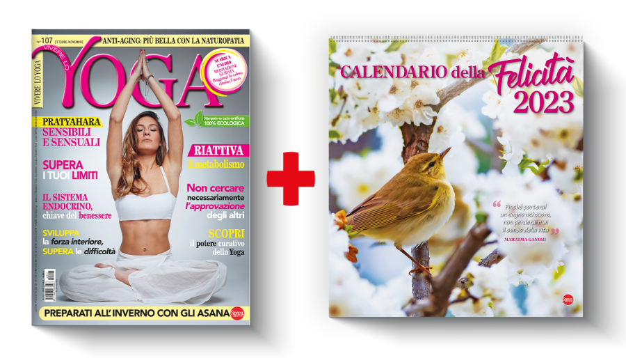 Copertina rivista Vivere lo yoga per un anno e il calendario della felicità