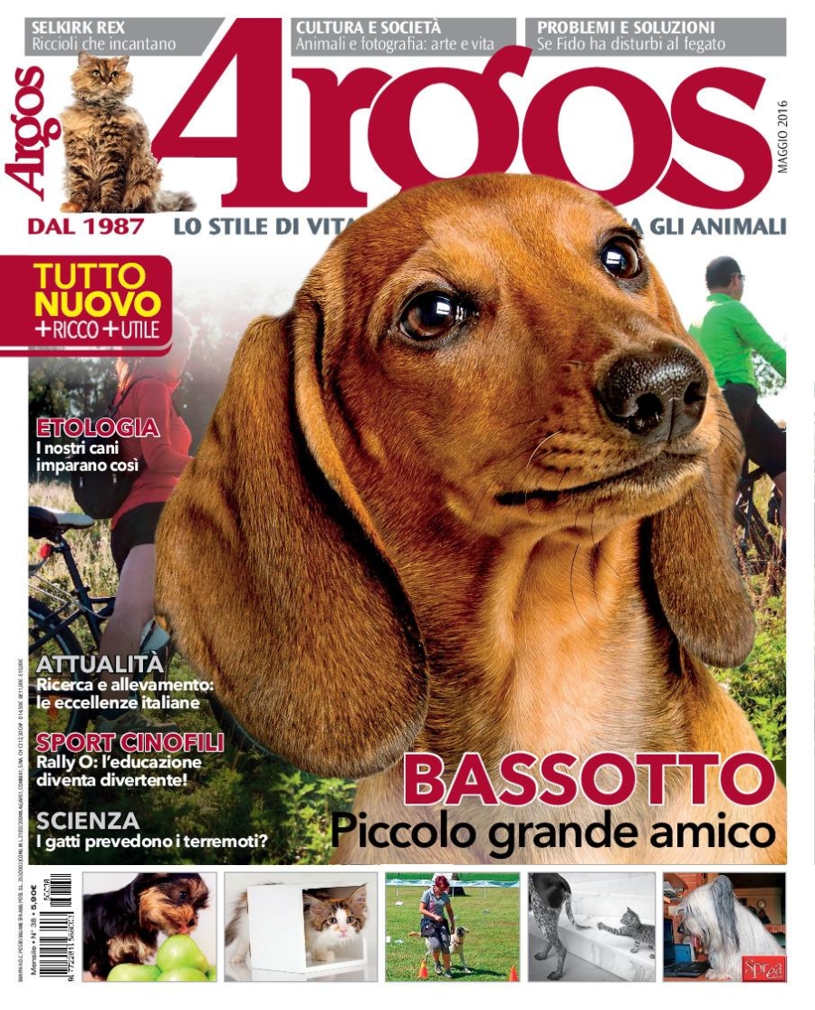 Copertina Argos n.38