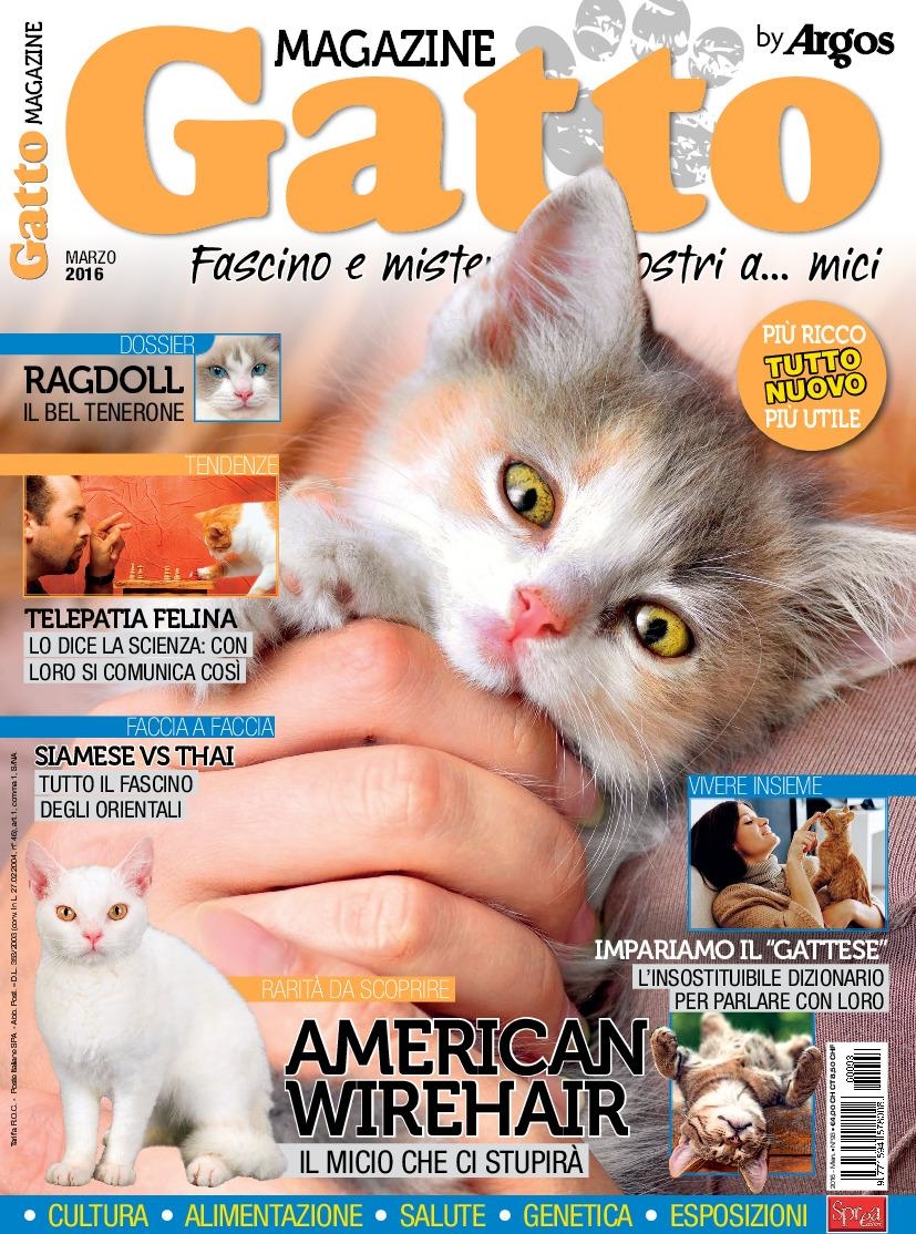 Copertina Gatto Magazine n.93