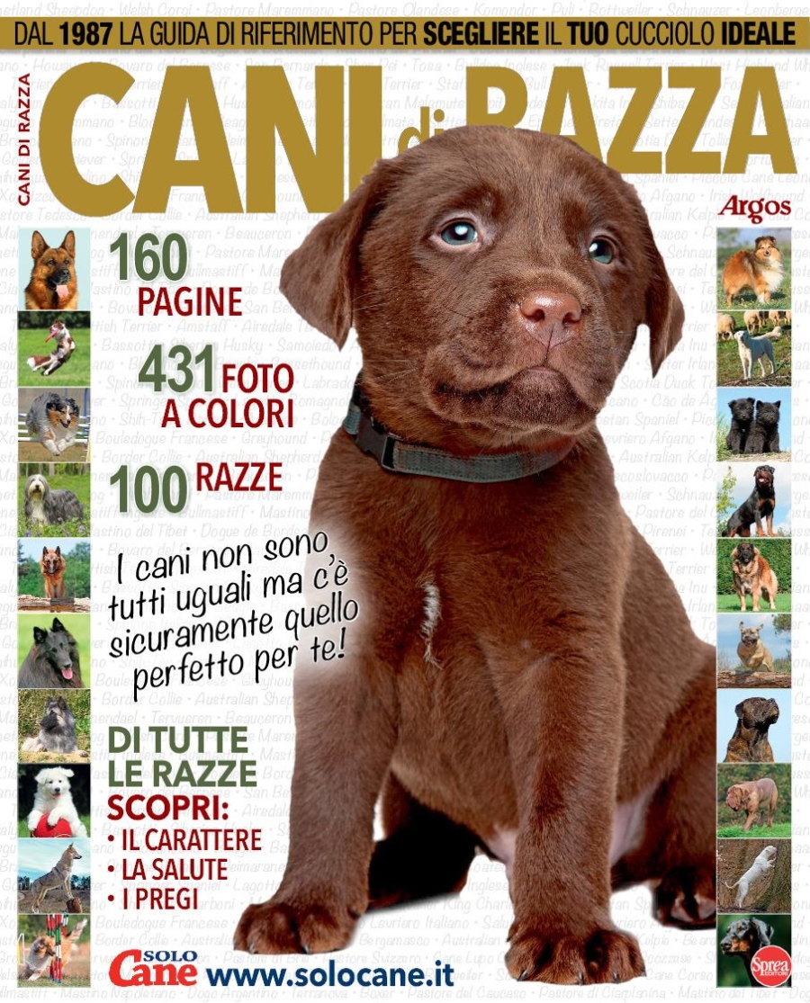 Copertina Il Mio Cane Speciale  n.26