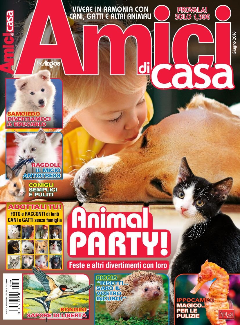 Copertina Amici di Casa n.133