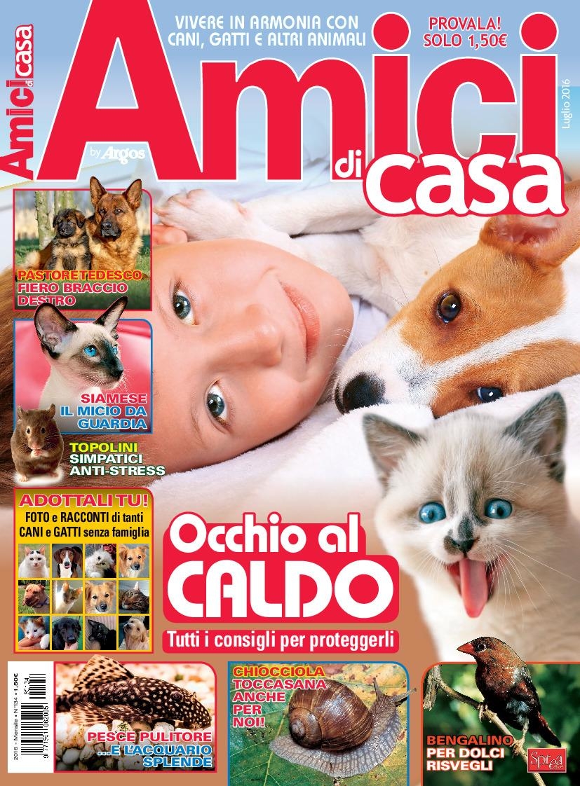 Copertina Amici di Casa n.134