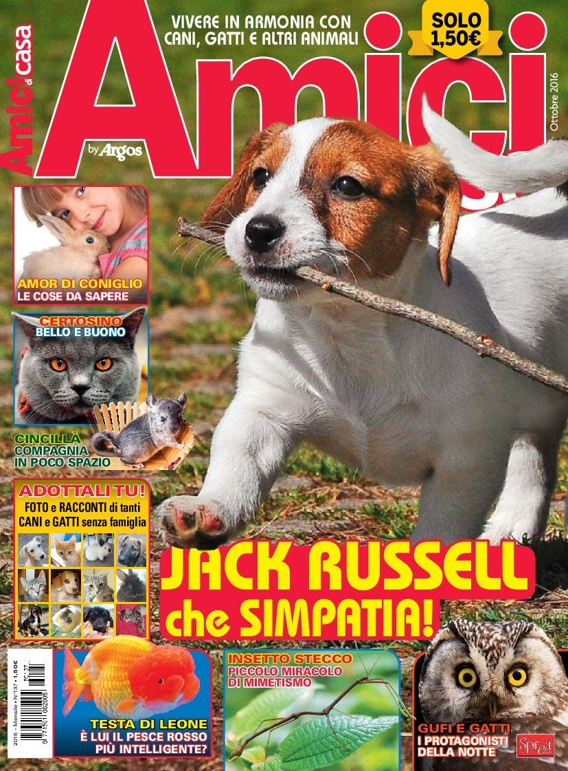 Copertina Amici di Casa n.137