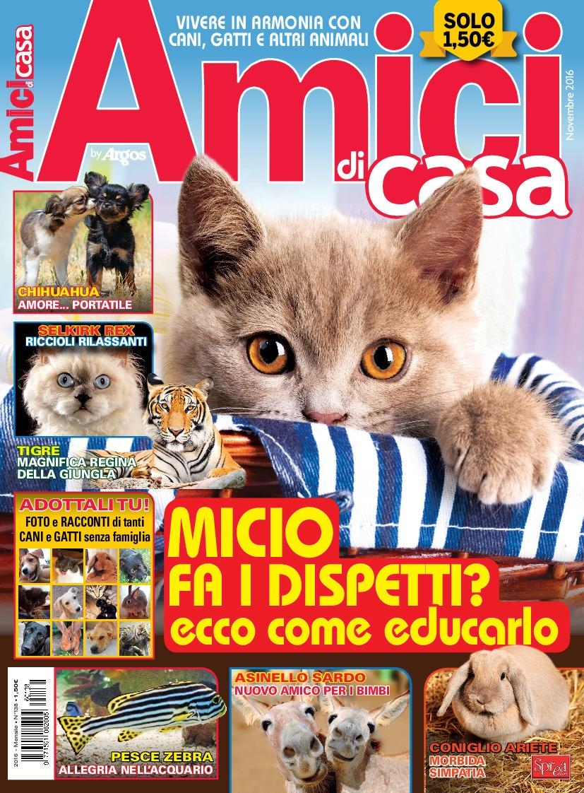 Copertina Amici di Casa n.138