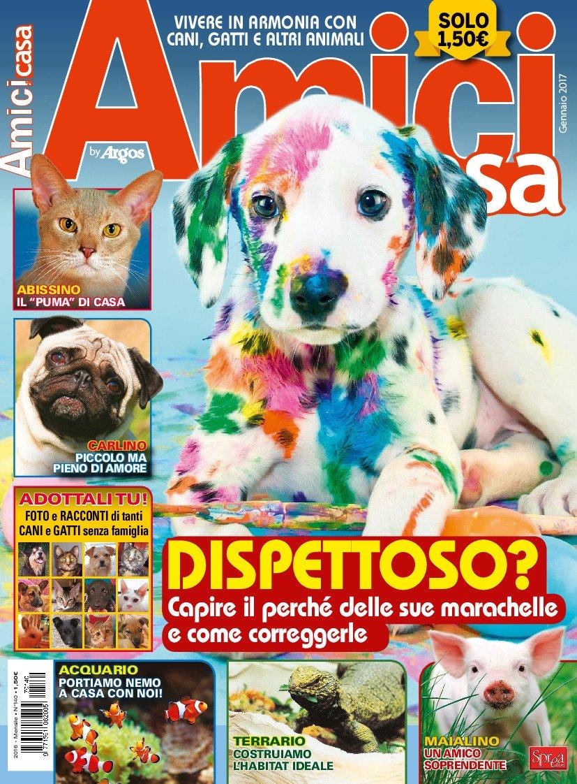 Copertina Amici di Casa n.140