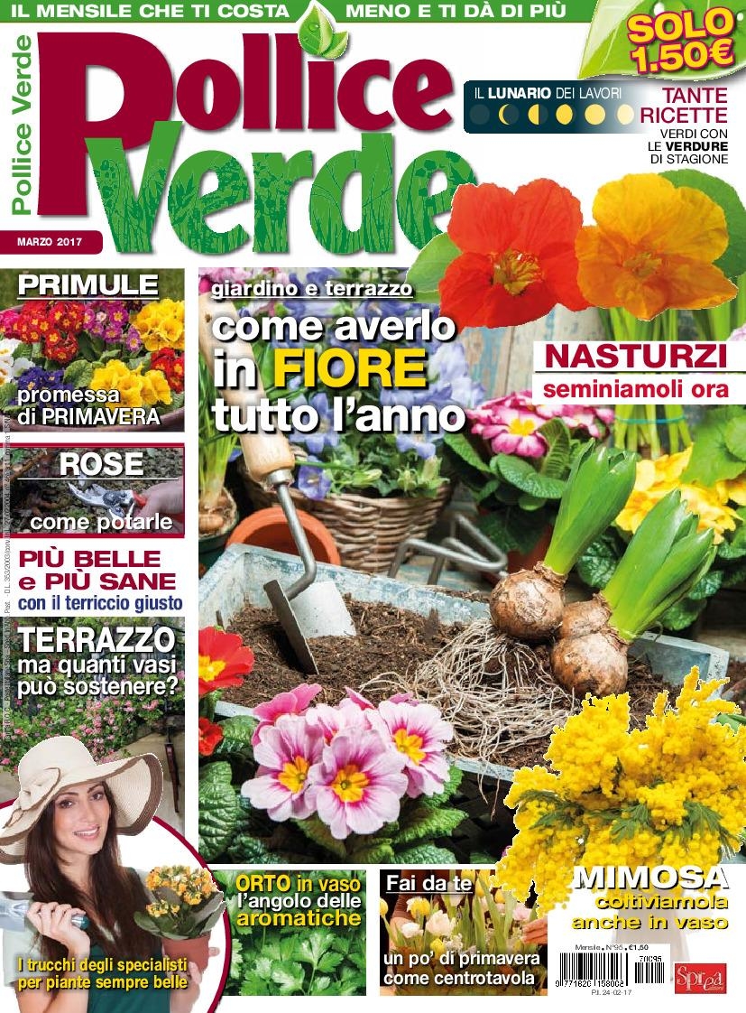 Copertina Pollice Verde n.95