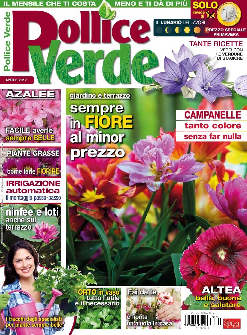 Copertina Pollice Verde n.96