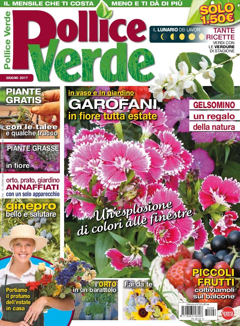 Copertina Pollice Verde n.98