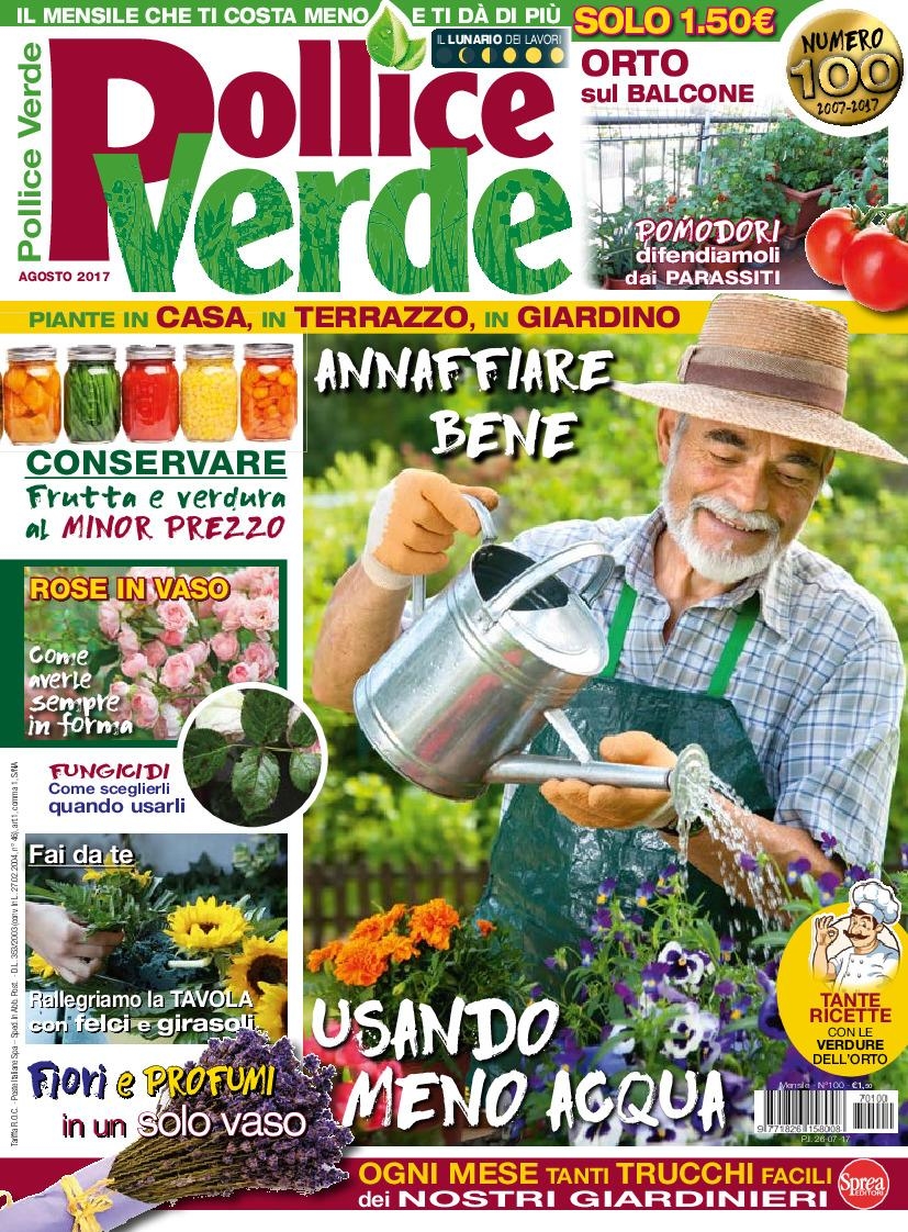 Copertina Pollice Verde n.100