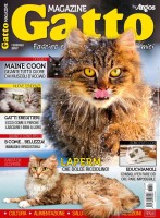 Copertina rivista Gatto Magazine