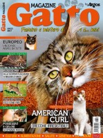 Copertina rivista Gatto Magazine