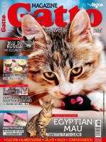Gatto Magazine n.105