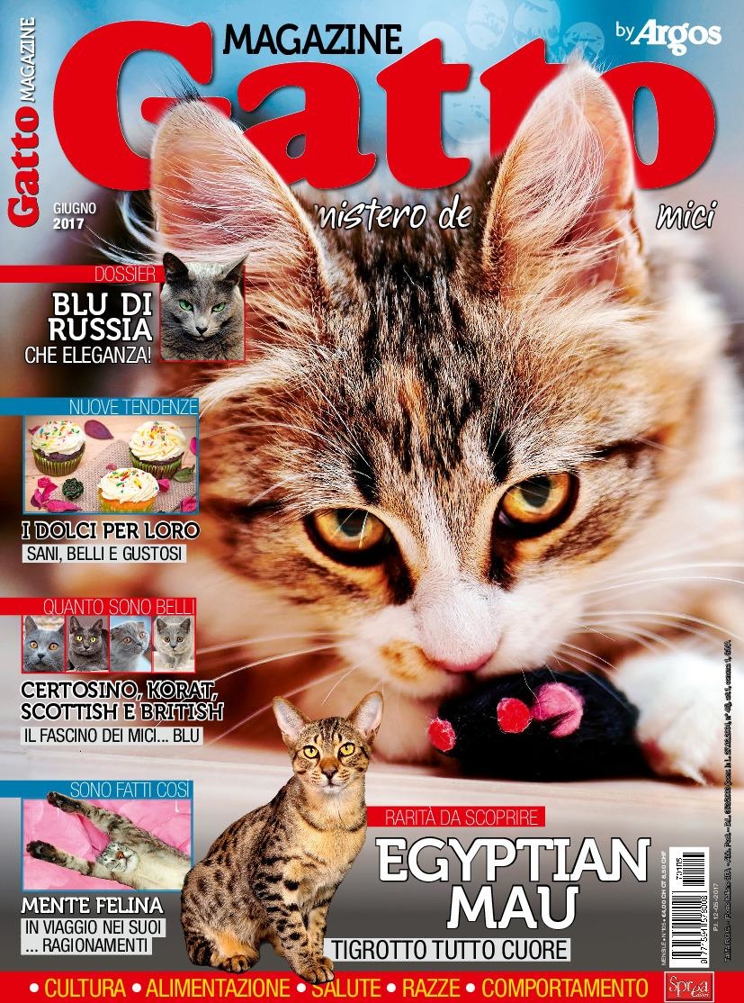 Copertina Gatto Magazine n.105