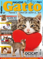 Copertina rivista Gatto Magazine