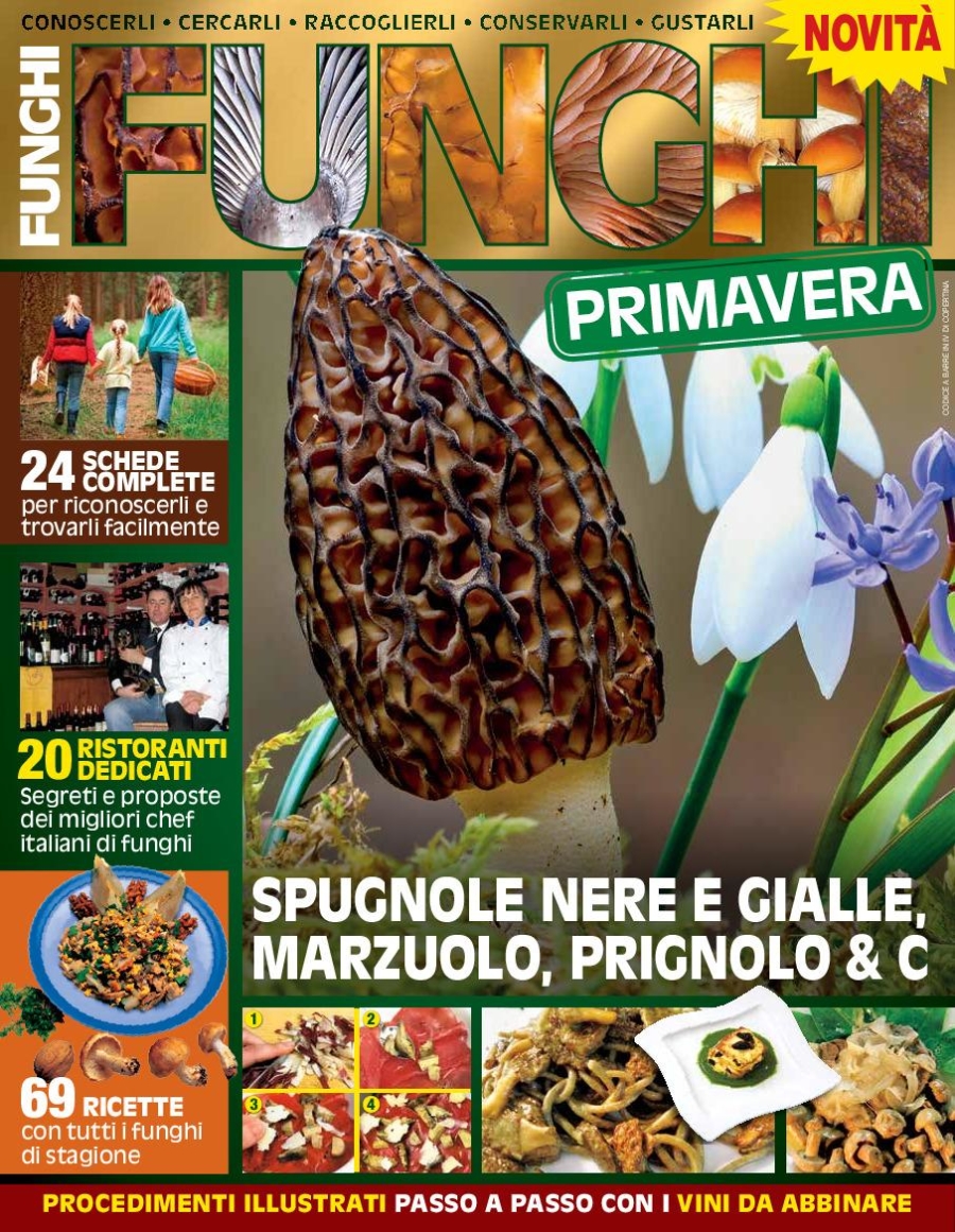 Copertina Il Mio Giardino Funghi n.3