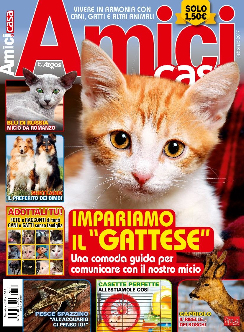 Copertina Amici di Casa n.141