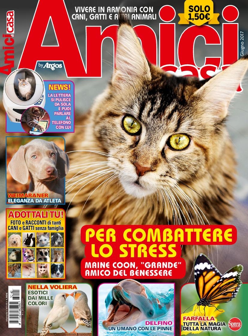 Copertina Amici di Casa n.145