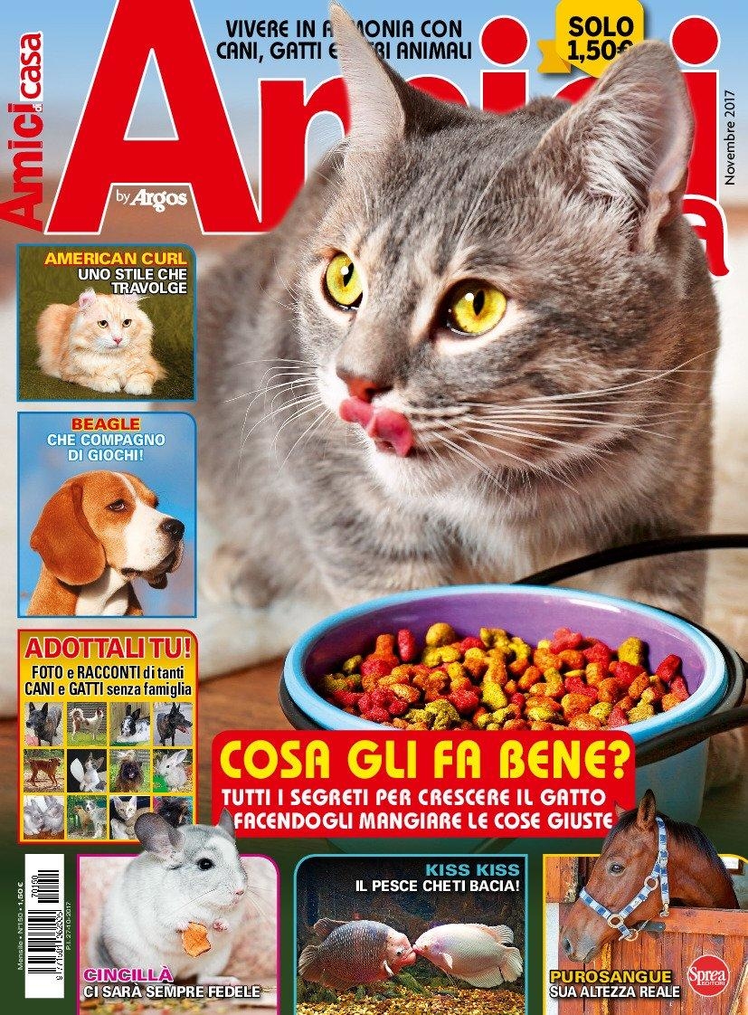 Copertina Amici di Casa n.150
