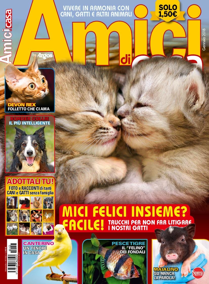 Copertina Amici di Casa n.152