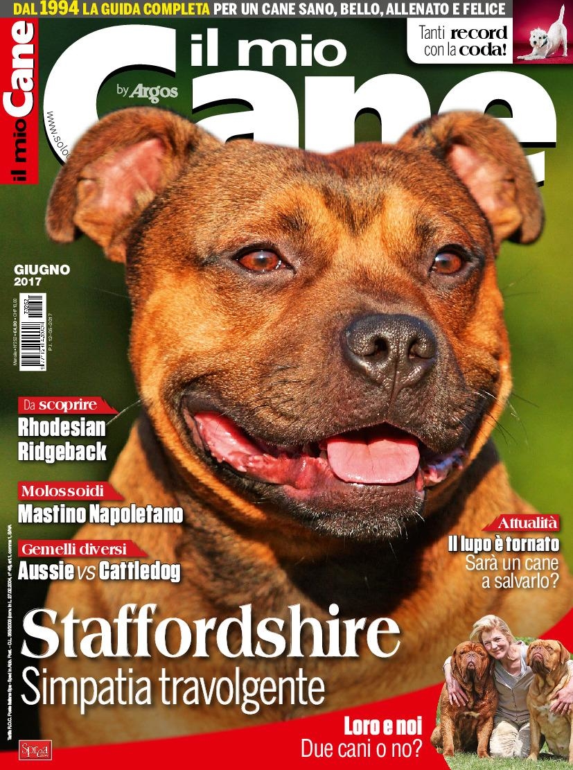 Copertina Il Mio Cane n.252