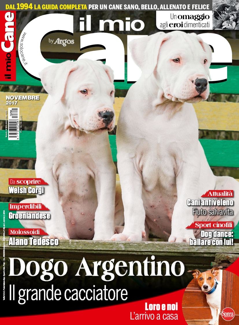 Copertina Il Mio Cane n.256