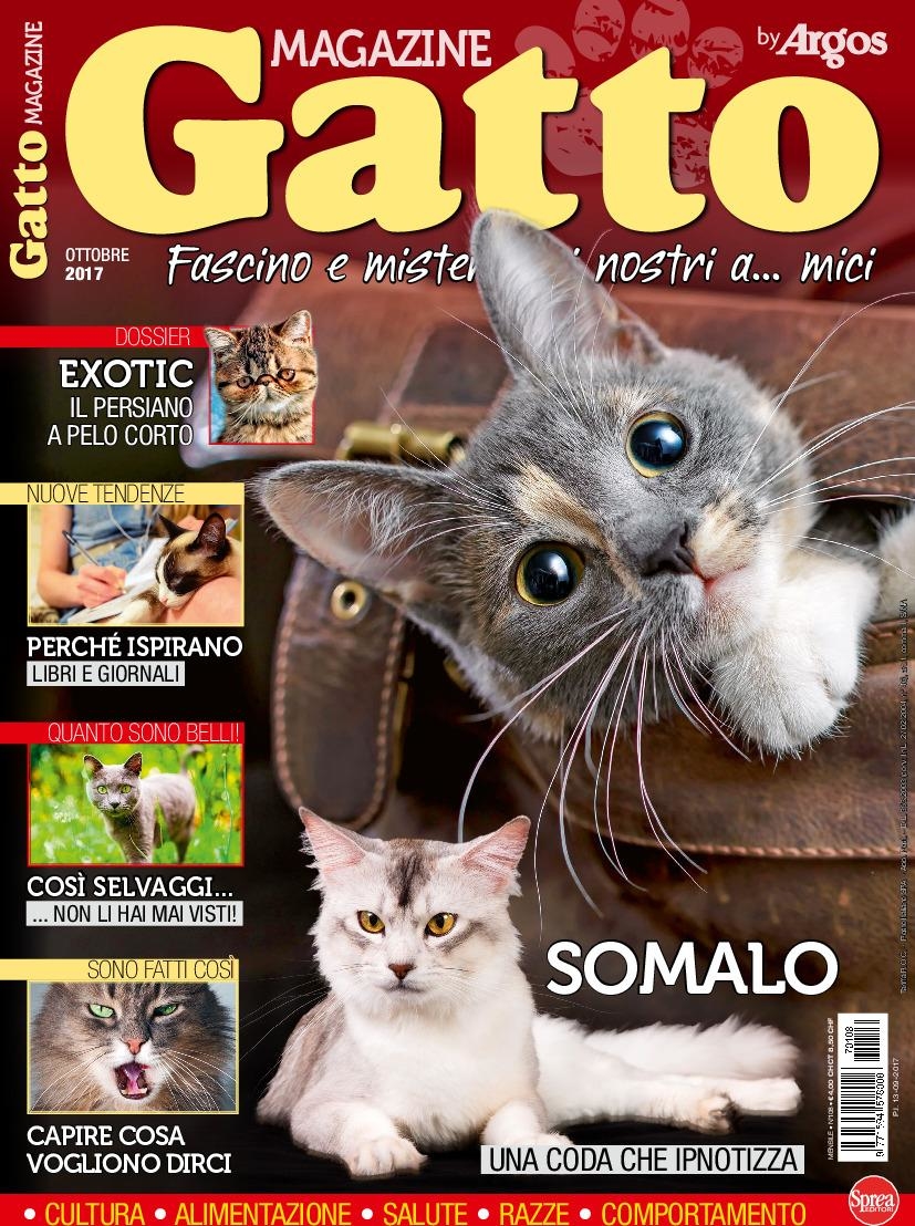 Copertina Gatto Magazine n.108