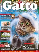 Copertina rivista Gatto Magazine