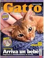 Copertina Gatto Magazine n.91