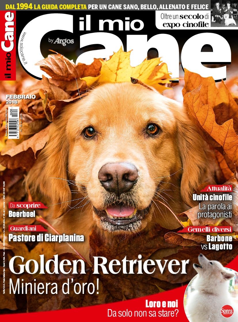 Copertina Il Mio Cane n.258