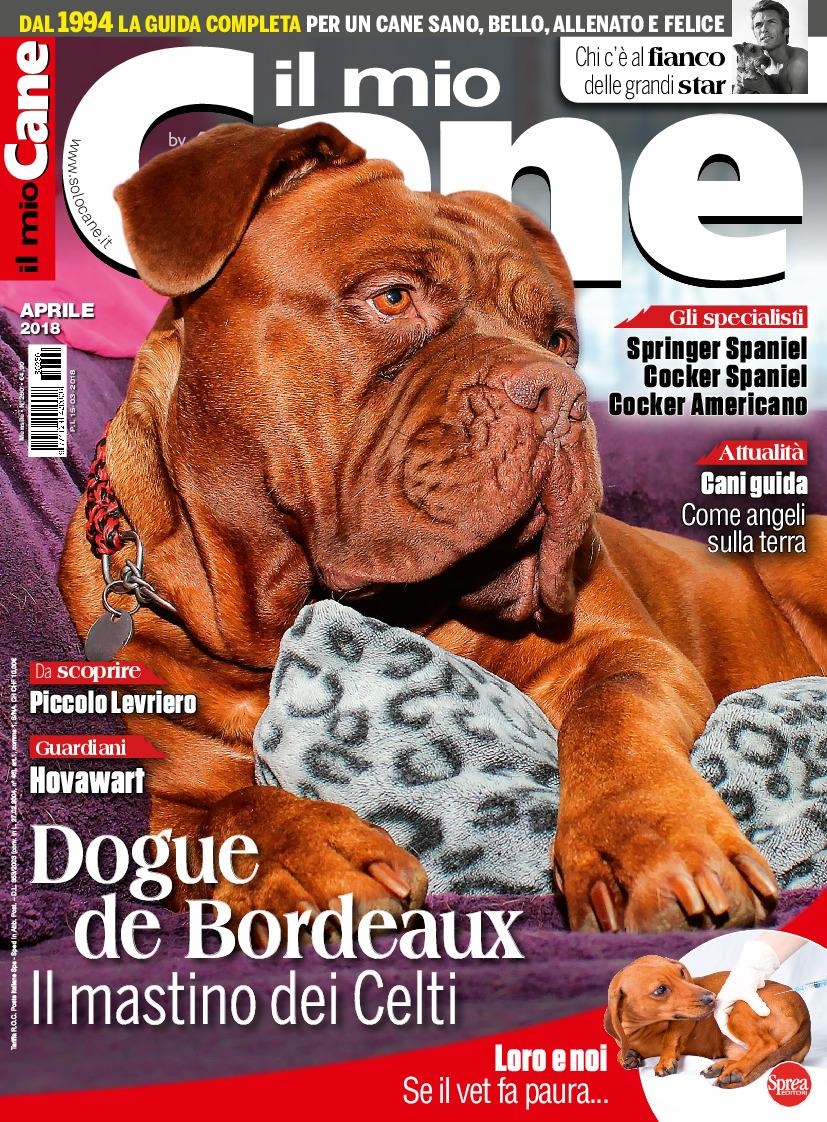 Copertina Il Mio Cane n.260
