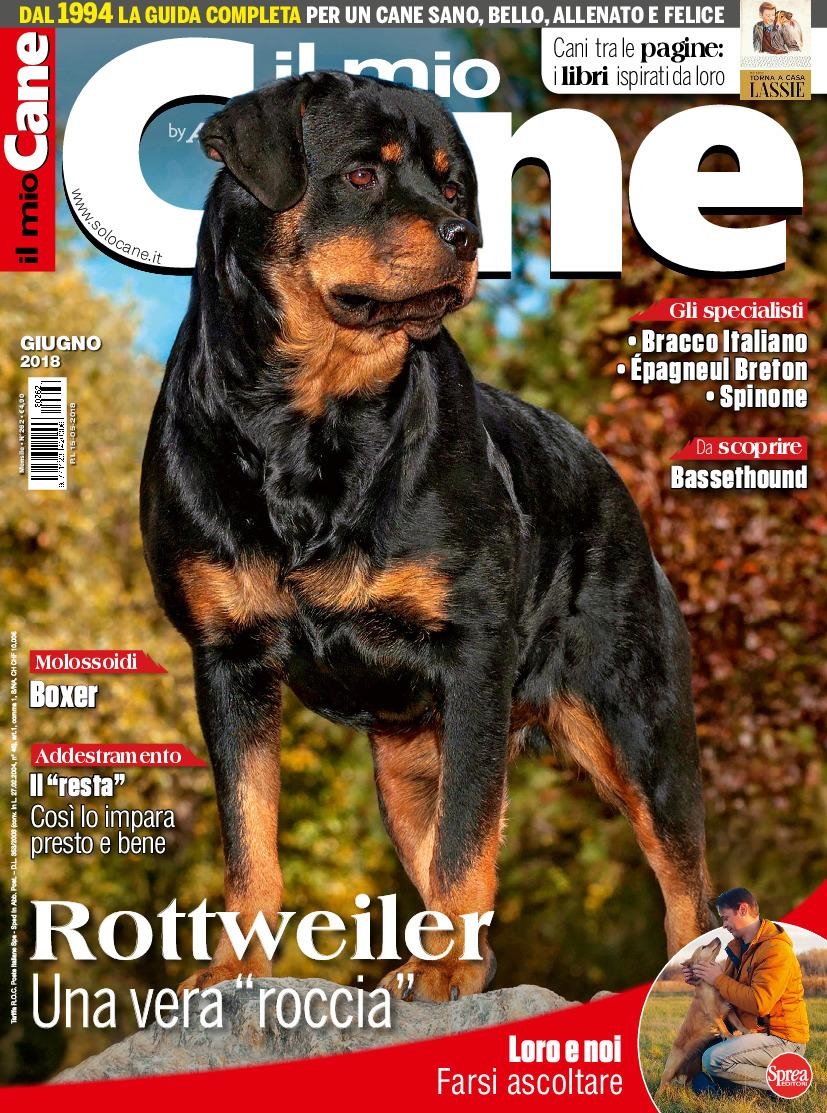 Copertina Il Mio Cane n.262