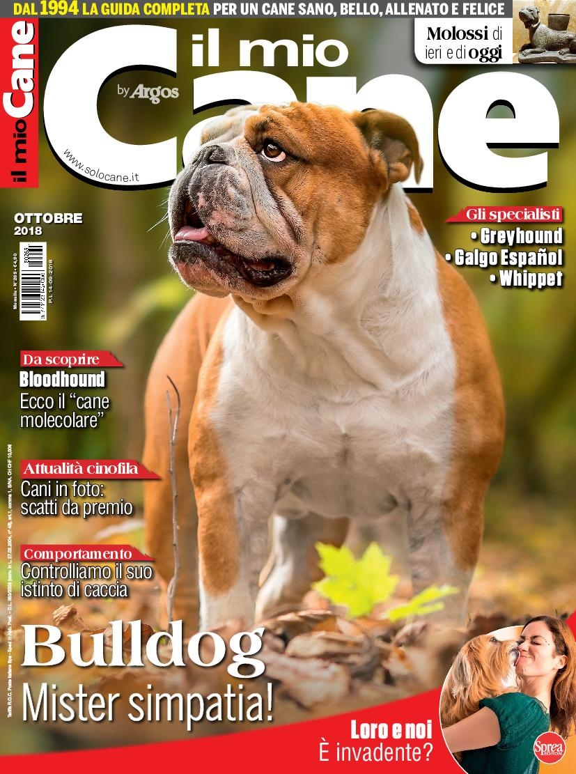 Copertina Il Mio Cane n.265