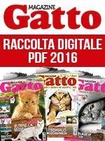 Copertina Gatto Magazine Raccolta Pdf (digitale) n.1