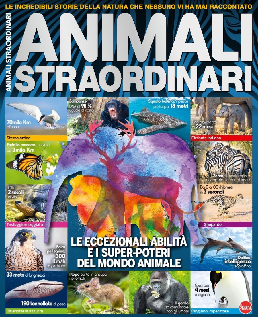 Copertina Science World Focus Speciale n.11