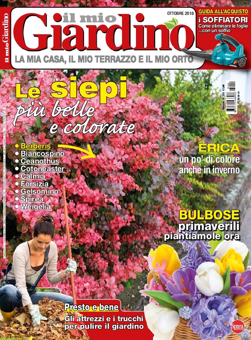 Copertina Il Mio Giardino n.226