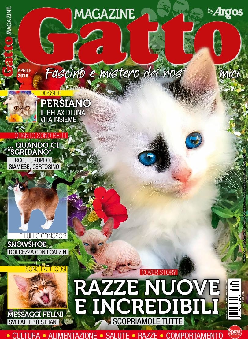 Copertina Gatto Magazine n.113
