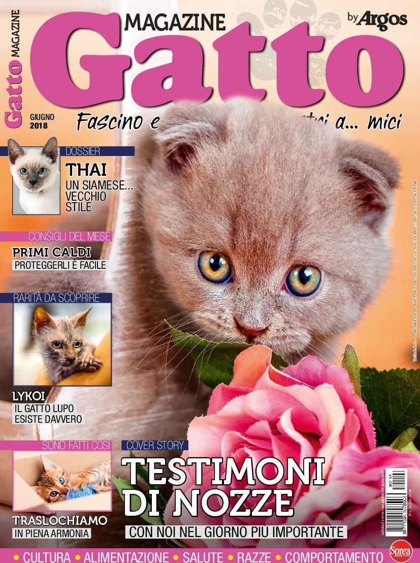 Copertina Gatto Magazine n.115