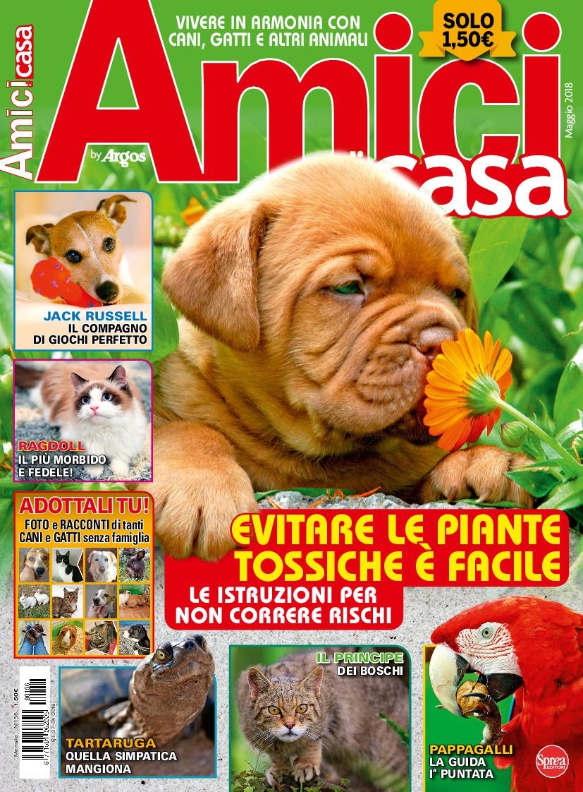 Copertina Amici di Casa n.156