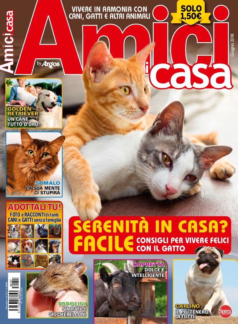 Copertina Amici di Casa n.157