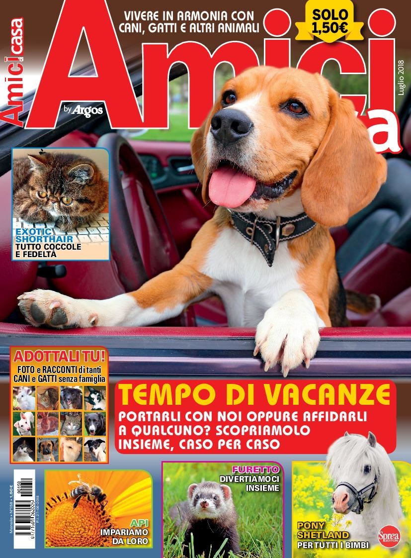 Copertina Amici di Casa n.158