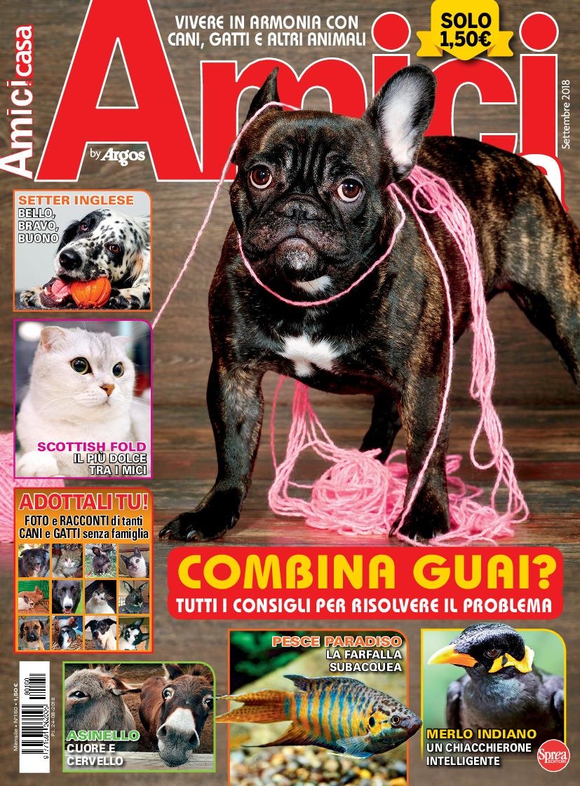 Copertina Amici di Casa n.160