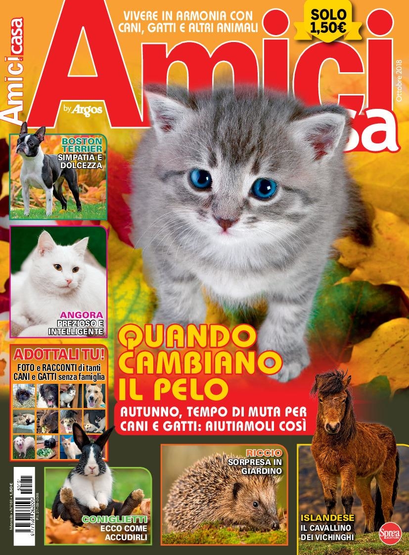Copertina Amici di Casa n.161