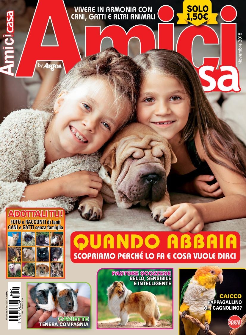 Copertina Amici di Casa n.162